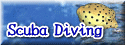 Scuba Diving [English]