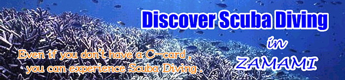 Discover Scuba Diving (image)