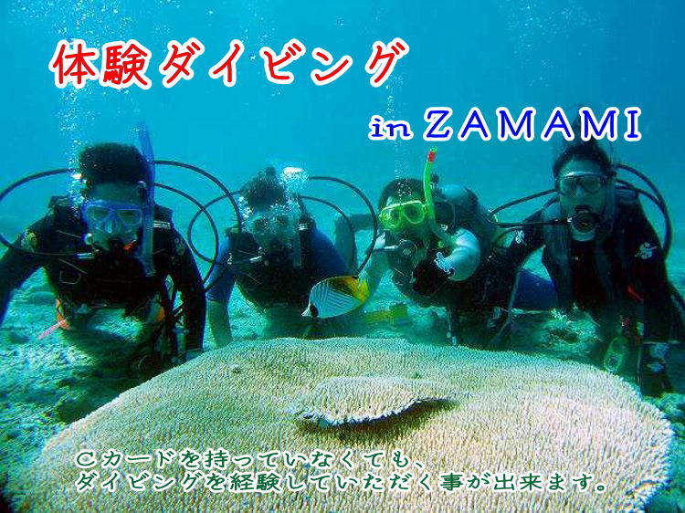 体験ダイビング in ZAMAMI （画像）