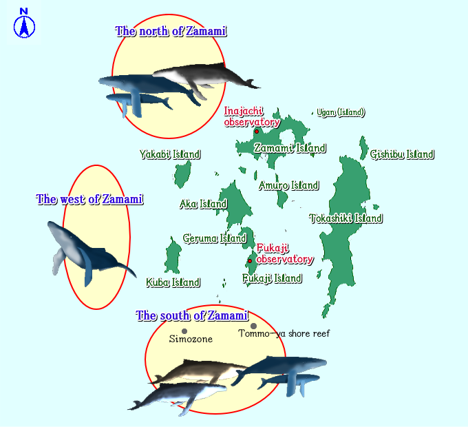Whale Watching sea area Map